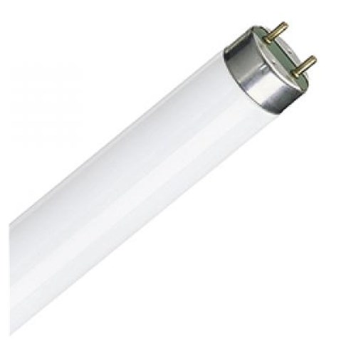 TLD36W865 - 36W G13 DAYLIGHT 6500K T8 1200mm - PJ White & Co